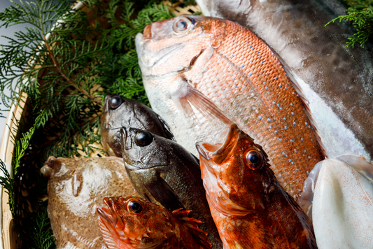 季節の鮮魚セット